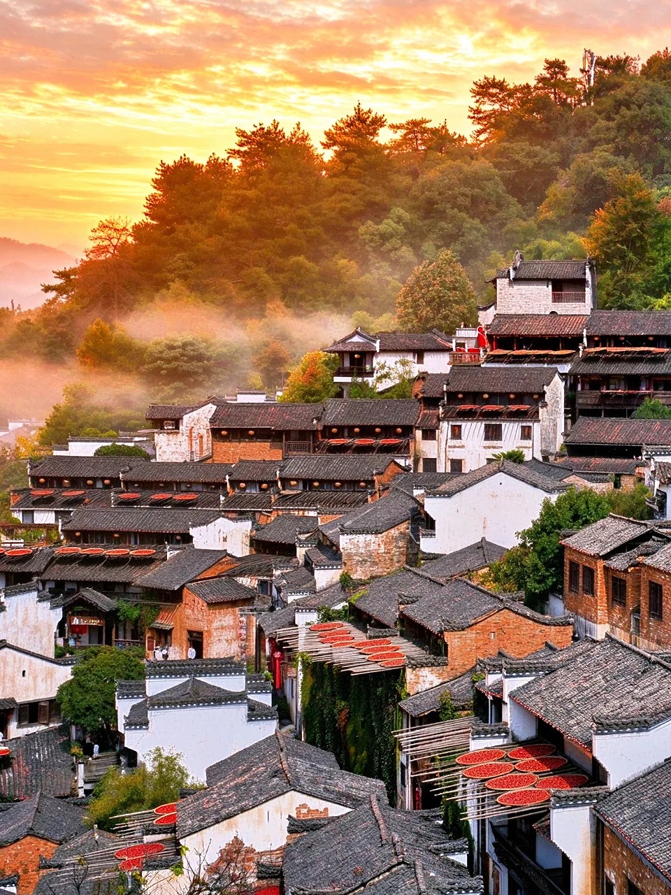 2026中秋国庆出游安全指南：自驾、进山、人流密集场所，这份权威提示请收好