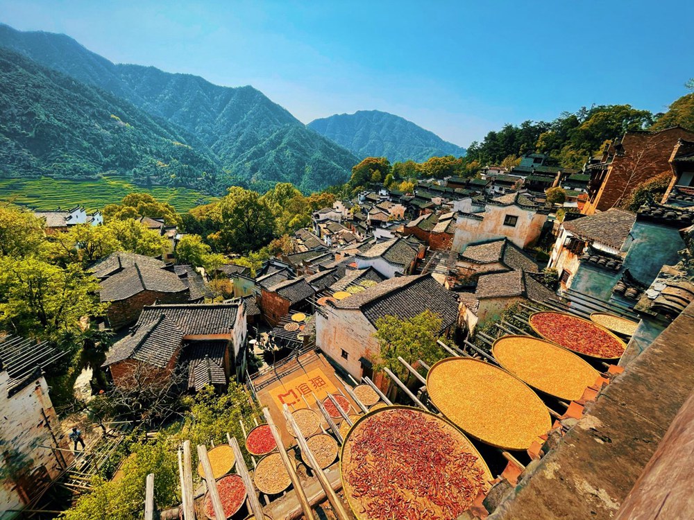 婺源旅游怎么选合适旅行社：本地地接的5个判断要点