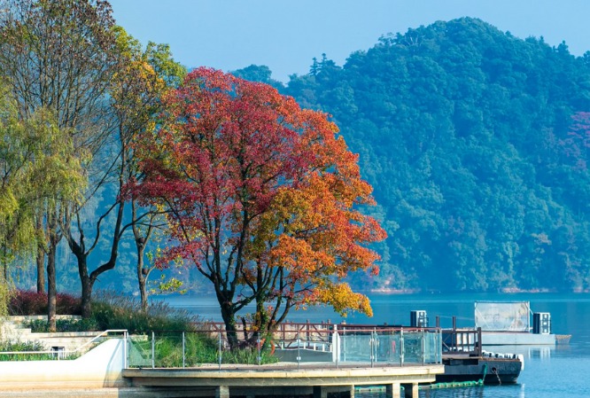 江西旅游5天4晚选哪家旅行社好？6条经典线对比+选社标准